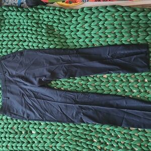 Banana Republic 30/30 Tailored Dress Pants Navy Blue